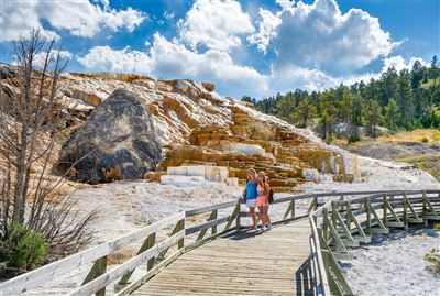 Mammoth Hot Springs